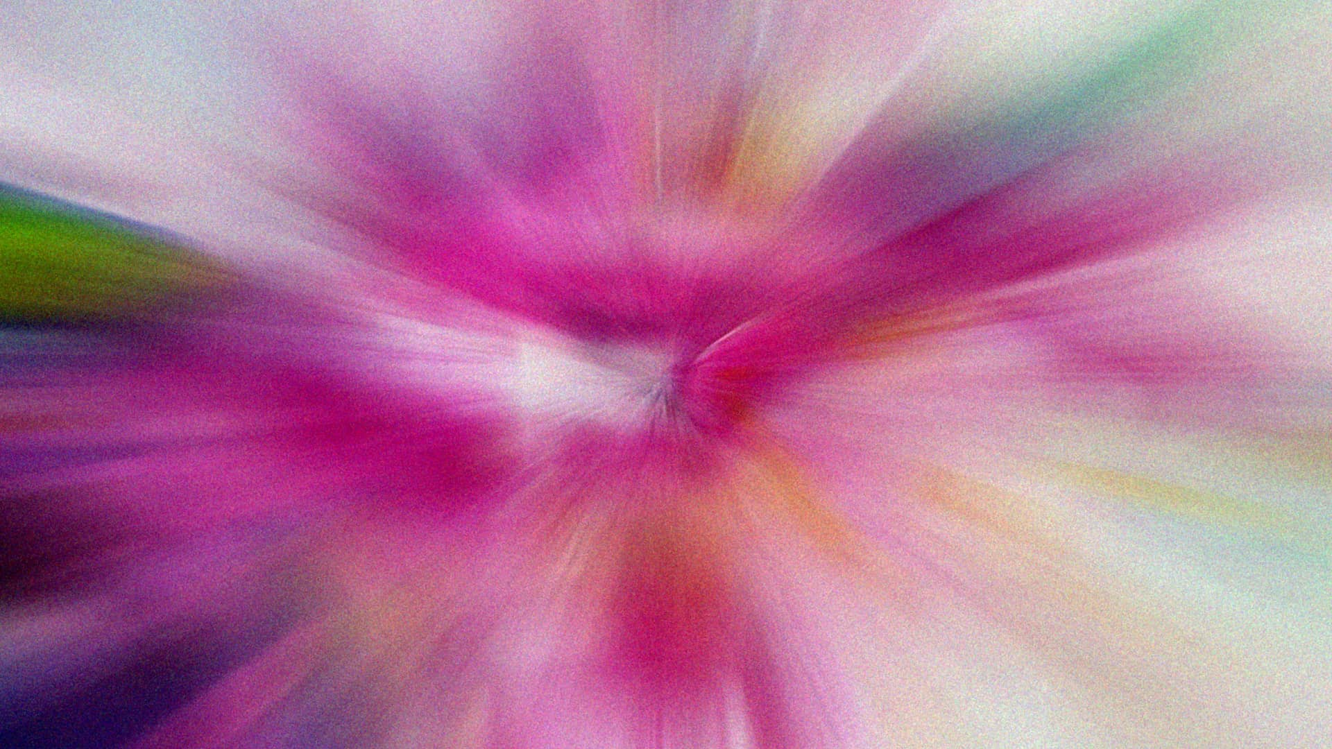 Fraser Coast Expo & Giveaway