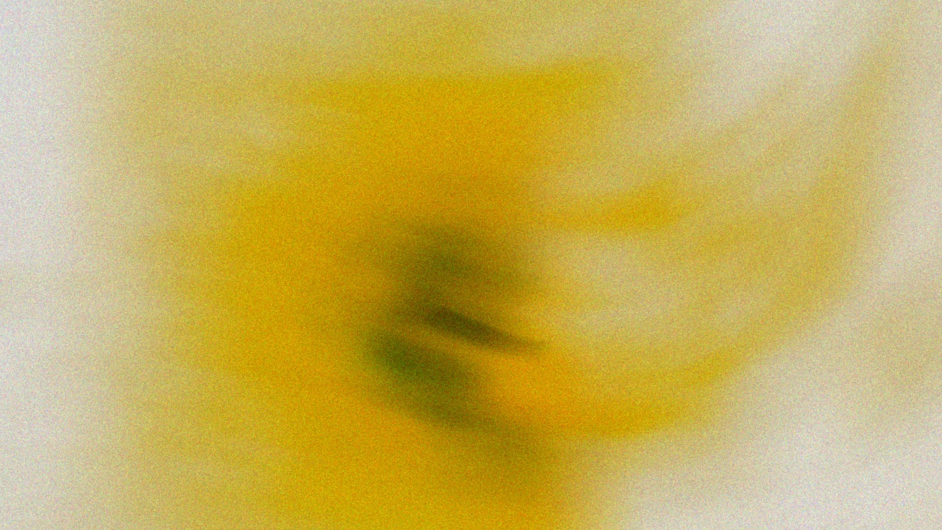 HSQF Management Walkthrough