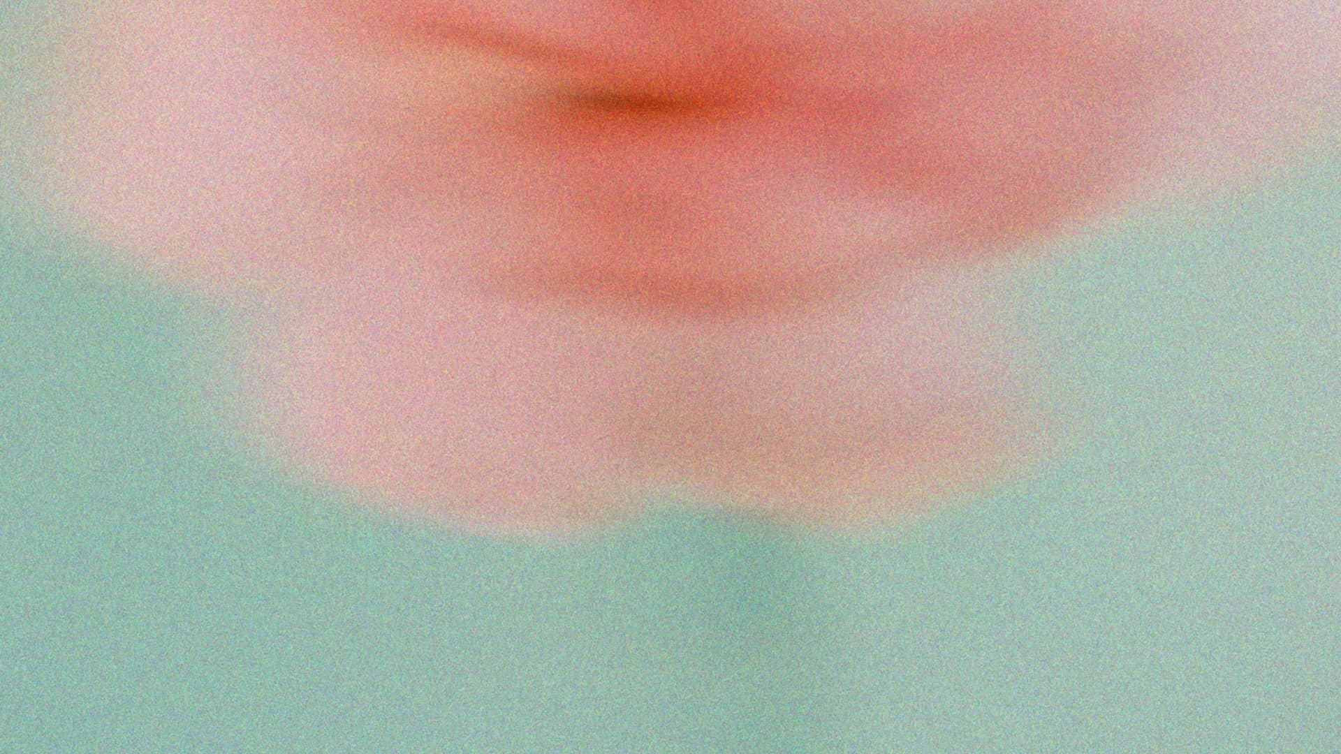 How to Set Up an NDIS Support Business in Australia